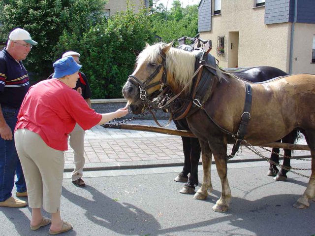 Haemmelsmarsch 2007 1er tour ph32